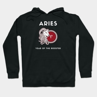 ARIES / Year of the ROOSTER Hoodie